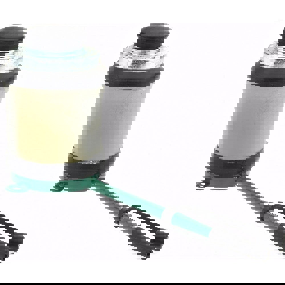 Insecticide for Insects: 6.2 oz Jug & Sprayer, Liquid